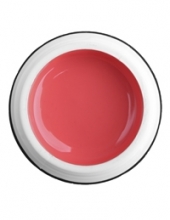                         Гель-краска Rich GEL PASTA 5ml  25