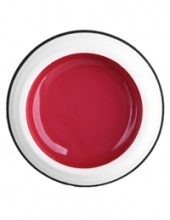                         Гель-краска Rich GEL PASTA 5ml   5