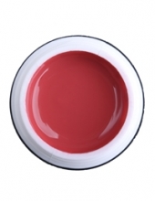                         Гель-краска Rich GEL PASTA 5ml  51