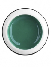                         Гель-краска Rich GEL PASTA 5ml  29