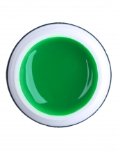                         Rich Gel Point Neon №01