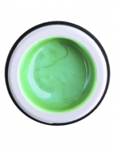                         Rich Gel Point Neon №09