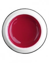                         Гель-краска Rich GEL PASTA 5ml  66