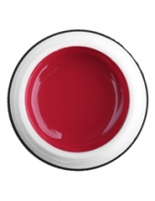                         Гель-краска Rich GEL PASTA 5ml  49