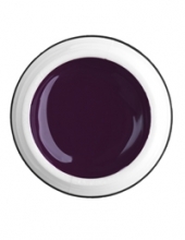                         Rich Gel Point №13                                                                                  