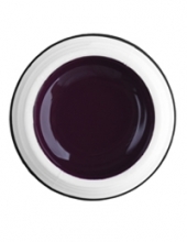                         Гель-краска Rich GEL PASTA 5ml  67