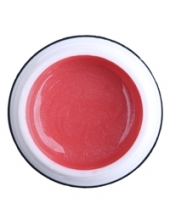                         Гель-краска Rich GEL PASTA 5ml  65