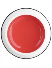                         Гель-краска Rich GEL PASTA 5ml  10 