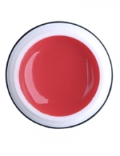                         Rich Gel Point №22