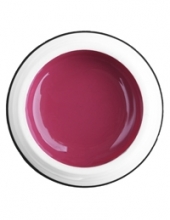                         Гель-краска Rich GEL PASTA 5ml  17