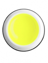                         Rich Gel Point Neon №04