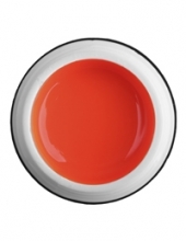                         Гель-краска Rich GEL PASTA 5ml  73