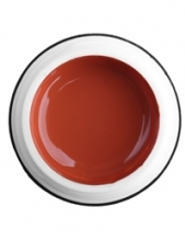                         Гель-краска Rich GEL PASTA 5ml  31