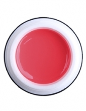                         Гель-краска Rich GEL PASTA 5ml  71