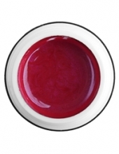                         Гель-краска Rich GEL PASTA 5ml  19