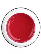                         Гель-краска Rich GEL PASTA 5ml  15