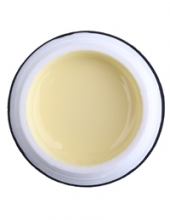                         Гель-краска Rich GEL PASTA 5ml  86