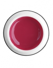                         Rich Gel Point №31